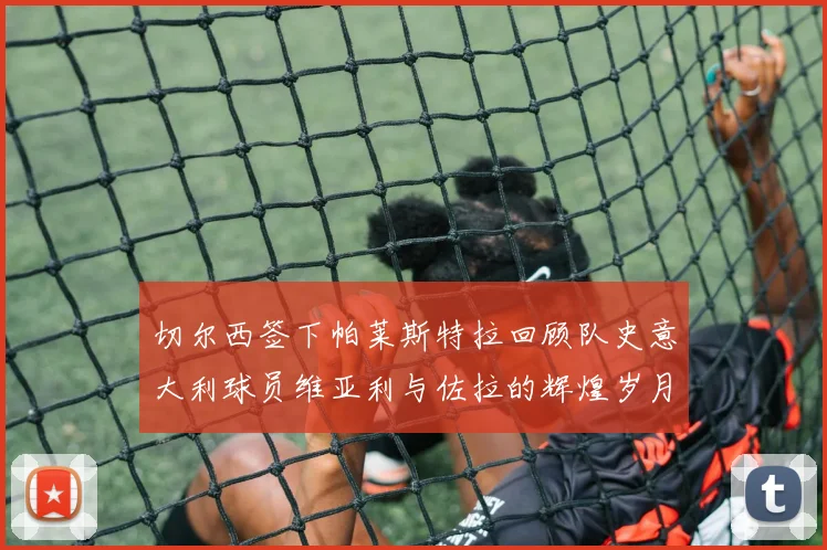 切尔西签下帕莱斯特拉回顾队史意大利球员维亚利与佐拉的辉煌岁月