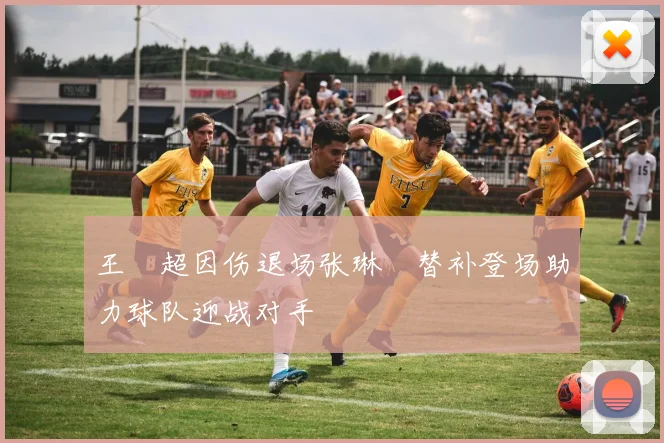 王燊超因伤退场张琳芃替补登场助力球队迎战对手