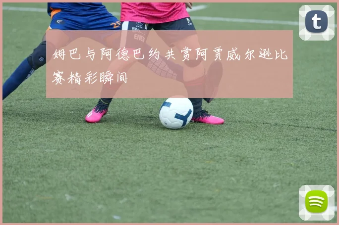 姆巴与阿德巴约共赏阿贾威尔逊比赛精彩瞬间